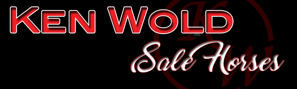 Ken Wold Sale Horses