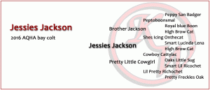 Jessies Jackson