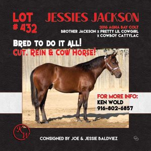 Jessies Jackson
