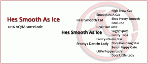 Hes Smooth As Ice