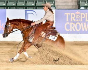 Congratulations 2022 NRCHA Stallion Stakes Int Non Pro Champion - Kathy Wilson showing- CP Metallic Dual (Metallic Cat x KD Sweet Corn x Dual Pep)