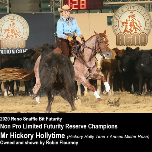 Mr Hickory Hollytime