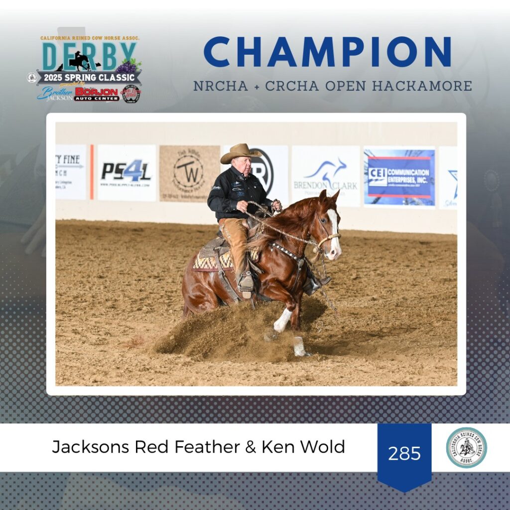 Jacksons Red Feather ridden by Ken Wold
