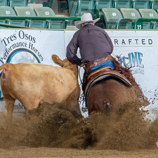 Reyzin Stylish Cash