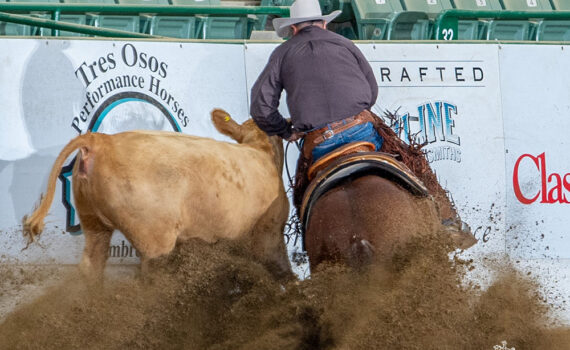 Reyzin Stylish Cash